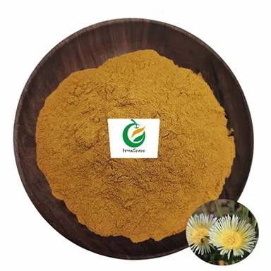 Extract de tortuosum de schineu